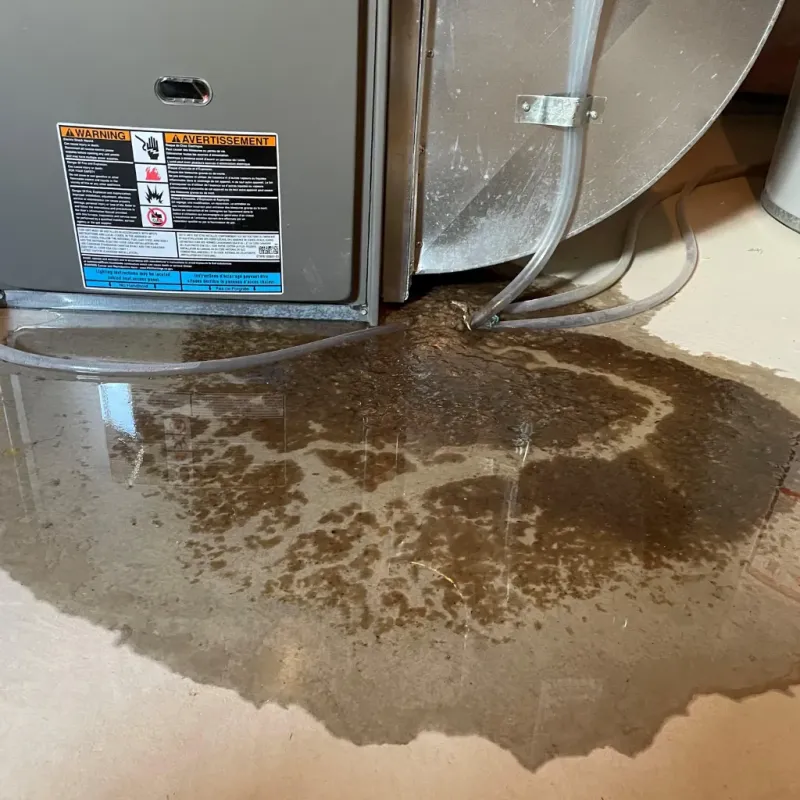 Appliance Leak Cleanup in Avondale, AZ