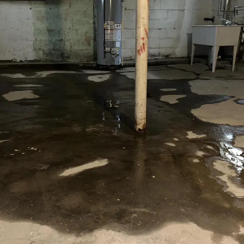Emergency Water Extraction And Removal in Avondale, AZ